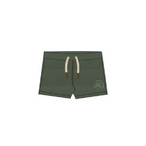 Sass25 997saf 693 Bronzegreen 21932
