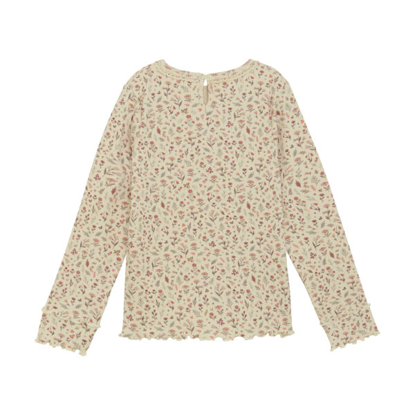 5713438469602124041 (1)