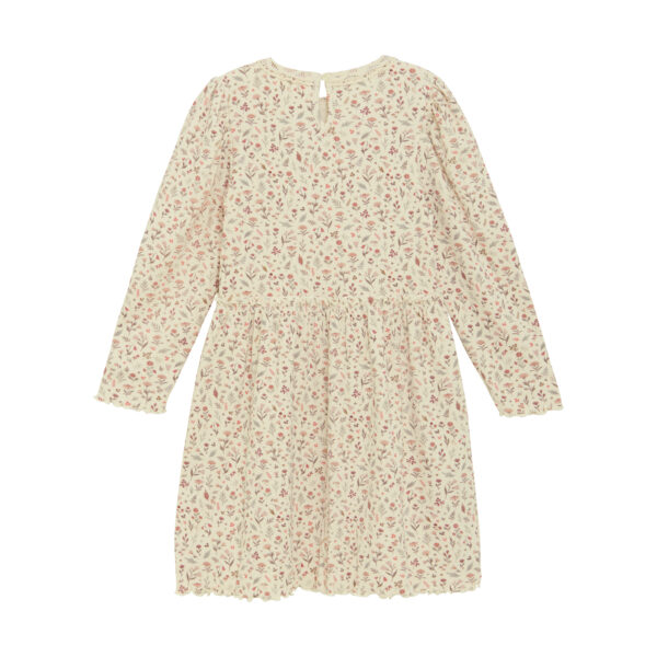 5713438470929124052 (1)