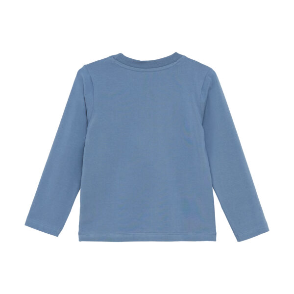 5713438474231134001 (1)