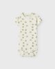 Lil’ Atelier Springsummer2025 4758555 13243699 3