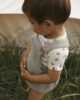 Lil’ Atelier Springsummer2025 4758555 13243699 5