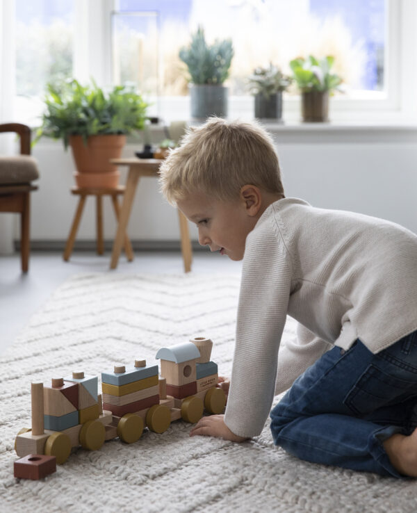 Ld4702 Pure & Nature Stacking Train (1)