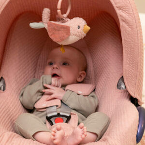 Ld8713 Pull And Shake Bird (1)