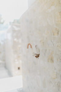 25921 Fensterbilder Spring 5