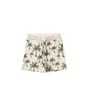 Sass25 071sej 071 Shortbread 23530