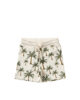 Sass25 071sej 071 Shortbread 23530