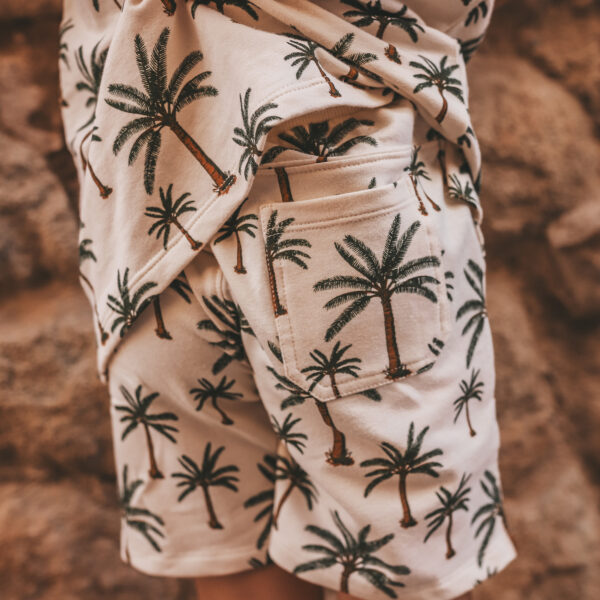 Sass25 071sej 071 Shortbread Sfeer4 23529