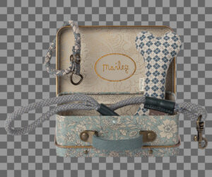 Preview Colourbox66606264