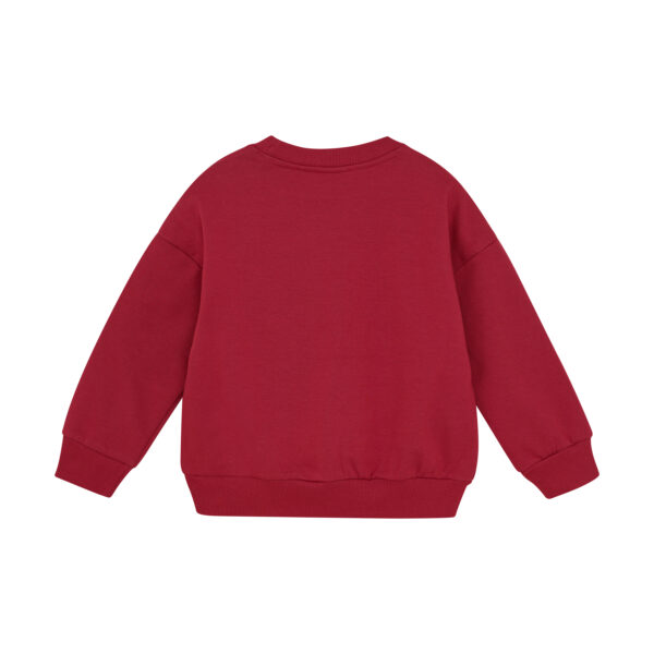 5713438593000134144 (1)