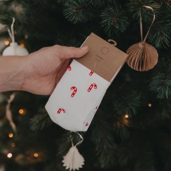 Soc 147 149 Zuckerstangen Photocredits Eulenschnitt 15